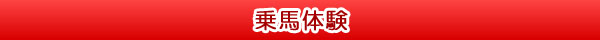 乗馬体験