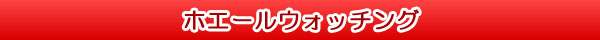 ホエールウォッチング